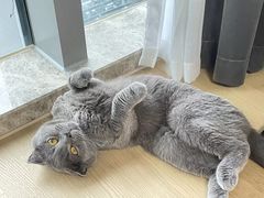 -佳雯宠物医院·皮肤科·内外科(春晓路分院)