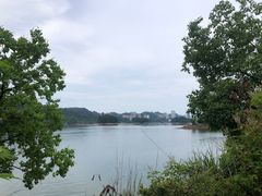 -几荷·恰似故人来(秀水广场店)