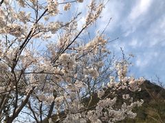 -湘湖金融镇