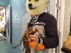 -超级物种·波龙工坊(国贸店)