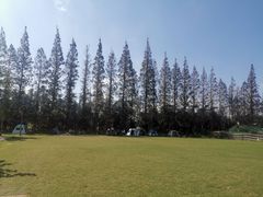 -前小桔亲子创意农场·草莓采摘·露营烧烤