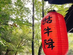 -石台牯牛降景区