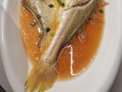 -华盛丰温州大排档(东三环南路店)