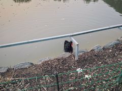 -春晖园度假酒店温泉