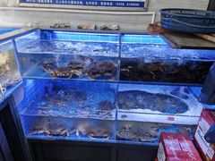 -金海湾海鲜排档(朱家尖店)