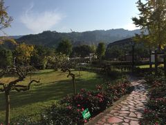 -雅安楠水阁温泉酒店