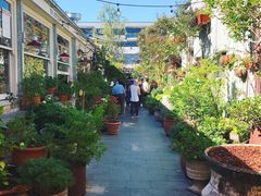 -The Grounds of Alexandria