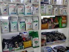 -中农国际动物医院24小时·猫科·骨科·急重症中心