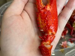 -庾氏龙虾馆(多弗汇店)