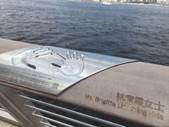 -星光大道
