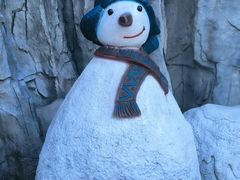 -横店影视城梦幻谷园区