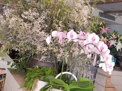 -春暖花开(西溪店)