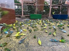 -南宫五洲植物乐园