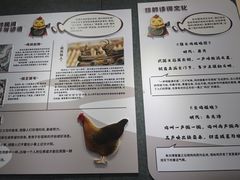 -飞来湖湿地公园