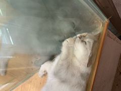-宠物世家(仲盛世界商城店)