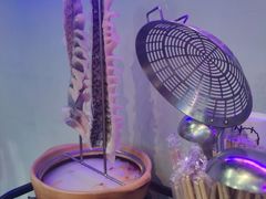 -楼上大排档·顺德菜·粥水·鱼生(苗栗路店)
