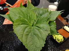 -四斤烤肉(东戴河孟家店)