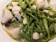 水性杨花炖芋头-滇铺子·云南特色菜·第九届野生菌美食节(东风东路c86店)