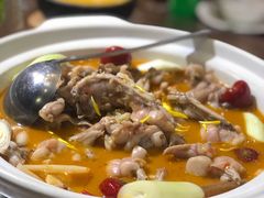 自制泡菜牛蛙锅-付掌柜在成都·热炒砂锅集(金禾店)