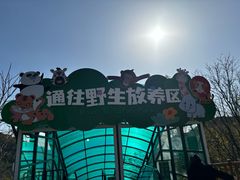 -大连森林动物园