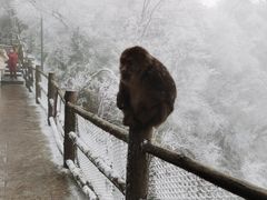 -峨眉山风景名胜区