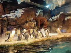 -波塞冬旅游度假区