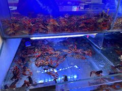 -虾铺子龙虾·私房菜(金源花苑店)
