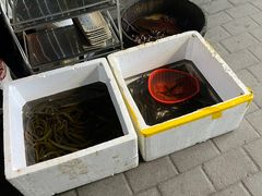 -铜元老码头鳝鱼火锅