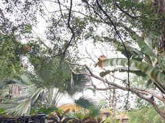 -海南热带野生动植物园
