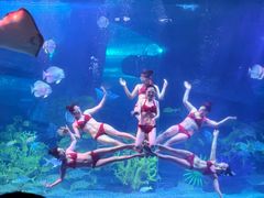 -泉城欧乐堡海洋极地世界