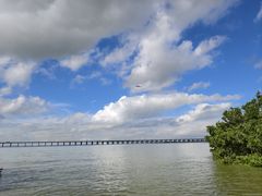 -宝安西湾红树林湿地公园