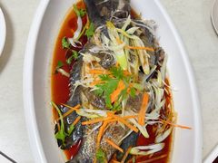 -人和啤酒屋海鲜大排档(营口路店)
