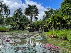 -中国科学院西双版纳热带植物园