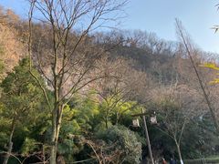 -幕燕滨江·长江观音景区