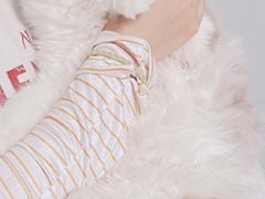 -猫宠乐园·专业洗护
