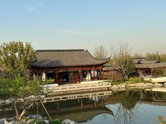 -上海滨江森林公园