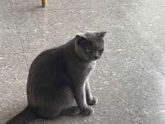 -NOTOOCAFE不二咖啡馆(岩前店)