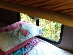 -崇明东平国家森林公园烧烤房车露营地