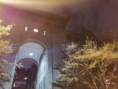 -武汉大学-樱园