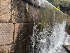 -青青世界