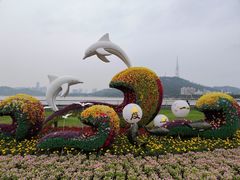 -野狸岛