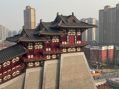 -洛阳市隋唐城遗址植物园
