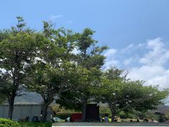 -三亚南山文化旅游区