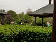 -咸宁万豪温泉谷度假区