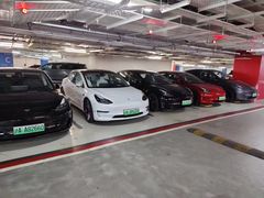 -TESLA 特斯拉(上海太古汇体验店)