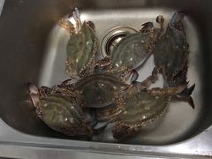 -何庄子阿米玛玛农产品批发市场