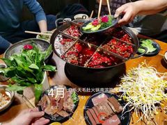 -白乐天毛肚火锅馆(南滨路店)