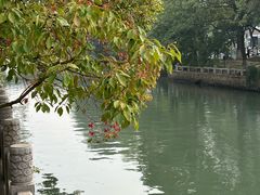 -西园戒幢律寺