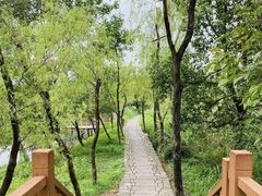 -西溪国家湿地公园