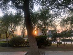 -艾溪湖湿地公园